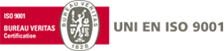 Logo Bureau Veritas
